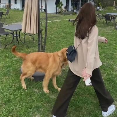 同志亦凡人第一季